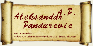 Aleksandar Pandurević vizit kartica
